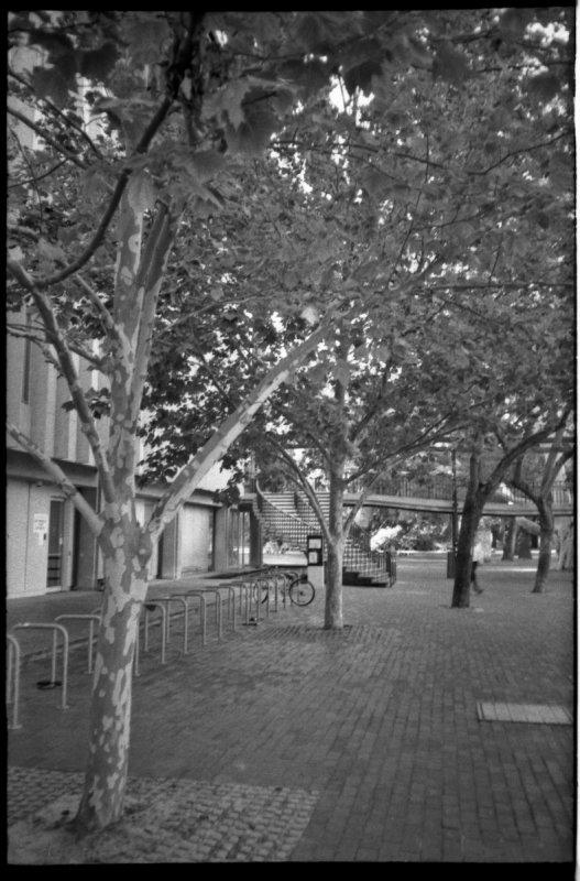 23-02-2011 Delta 400 Olympus XA 05.jpg