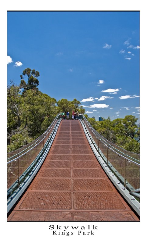 Skywalk, Kings Park.