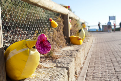 Sculptures by the Sea 2012