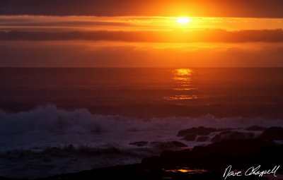 IMG_0791-Edit.jpg
