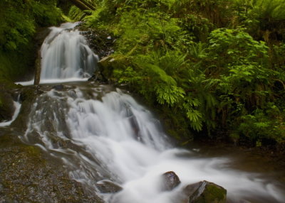 Sheperd's Dell Falls