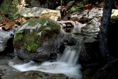 Boulder in the Stream