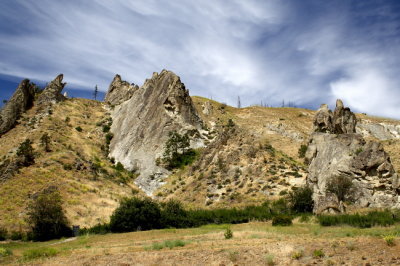 Rock Beauty