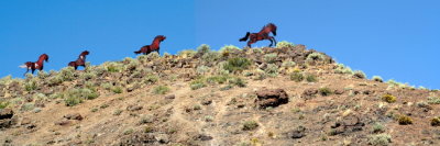Wild Horses Memorial