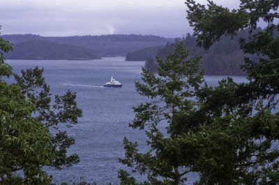 Cruising the Sound
