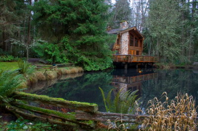 Cabin on the Pond
