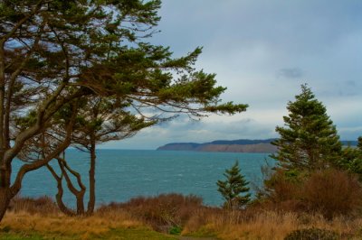 View from the Light House