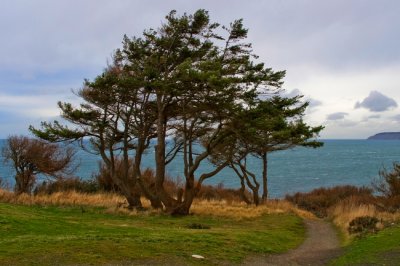 View from Fort Casey