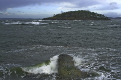 Stormy Waters