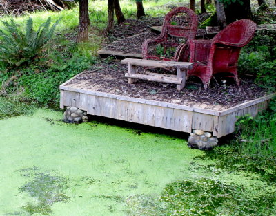 Green Pond with Red Chairs