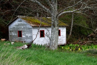 Abandoned Cabin