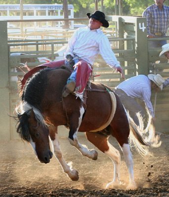 Lewis County Pro Rodeo, 2006
