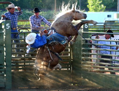 Crazy Horse