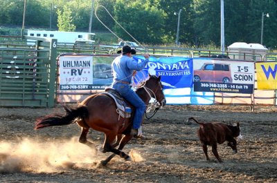 Calf Roper 2