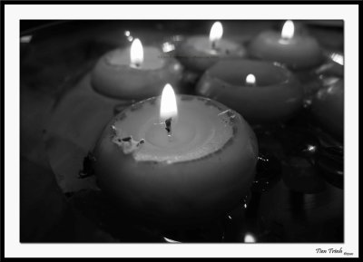 Onion Candles