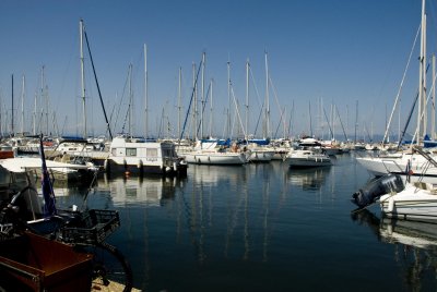 tnc_0094a428.jpg
