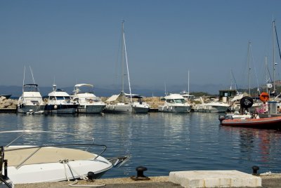 tnc_0109a441.jpg