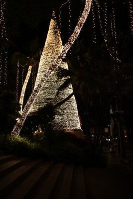 Christmas Trees in Bangkok