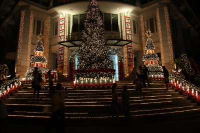 Christmas Trees in Bangkok