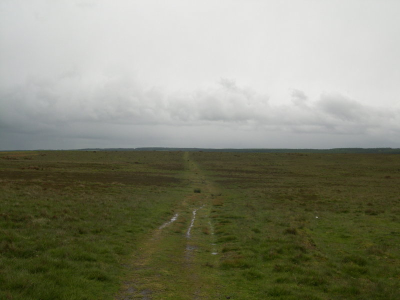 Into the moors