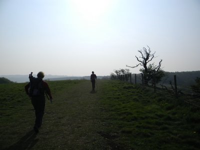 Nibley Knoll