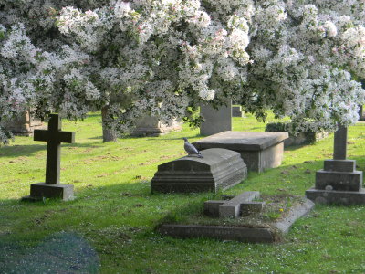 Beautiful churchyard