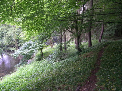 The Innway to the North York Moors (2007)