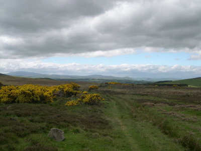 Into the Cheviot Hills