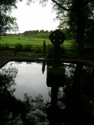 Lady's well