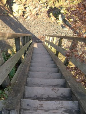 Bowderstone-steps (earthcache)