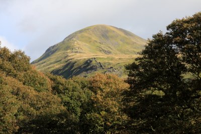 IMG_5223.JPG