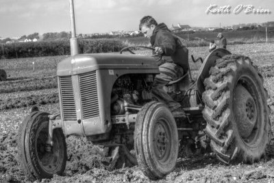 Anglesey Ploughing Competition 2011