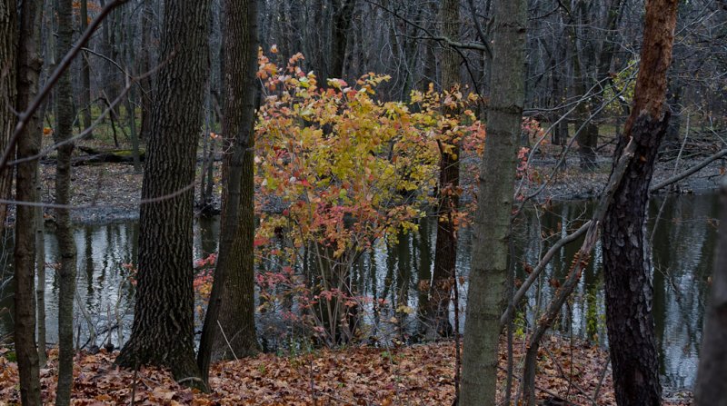 20111112_1001470.jpg