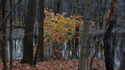 20111112_1001470.jpg