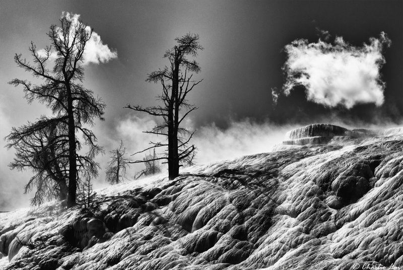 Mammoth Hot Springs