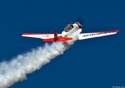 Gene McNeely - T-6 Texan - Team Aeroshell