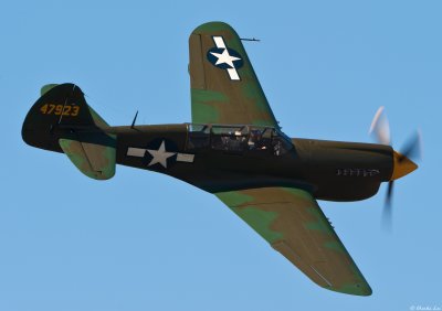 Kermit's P-40C Warhawk