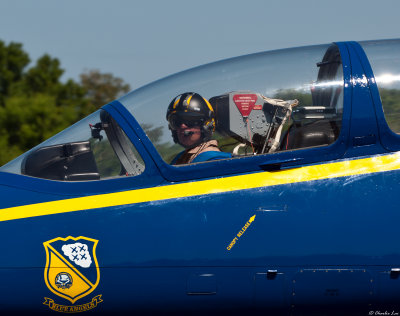 Mike Dunkel in the L-39