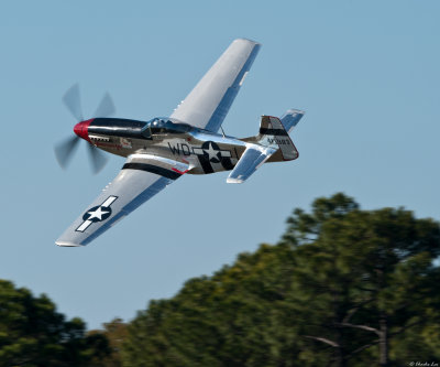 P-51D, piloted by Dale Snort Snodgrass