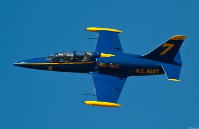 L-39 in Blues colors, piloted by Mike Dunkel