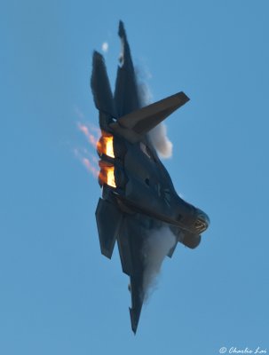 USAF F-22 Raptor
