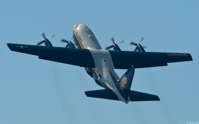 Fat Albert