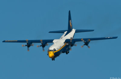 Fat Albert