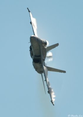 F/A-18 Hornet