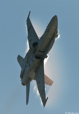 F/A-18 Hornet