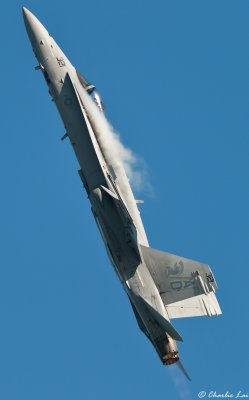 F/A-18 Hornet
