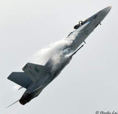 F/A-18 Hornet