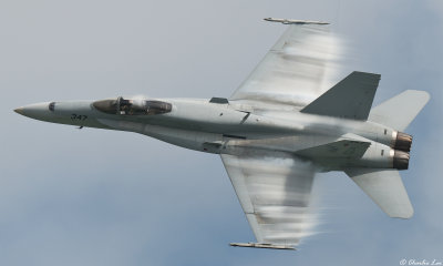 F/A-18 Hornet