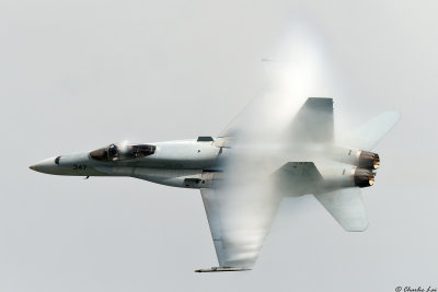 F/A-18 Hornet