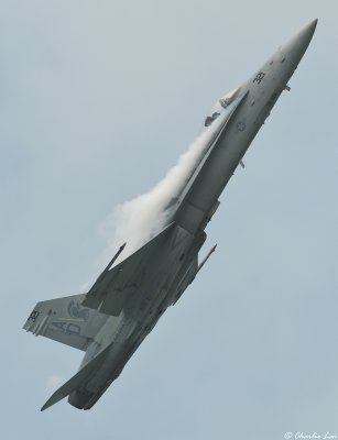 F/A-18 Hornet